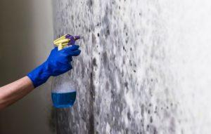 Выцветание и плесень удаляются специальными химическими средствами